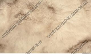 Photo Texture of Fabric Fur 0006